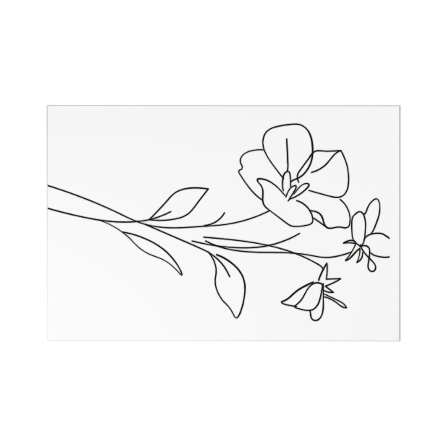 White Floral Postcards Set of 7