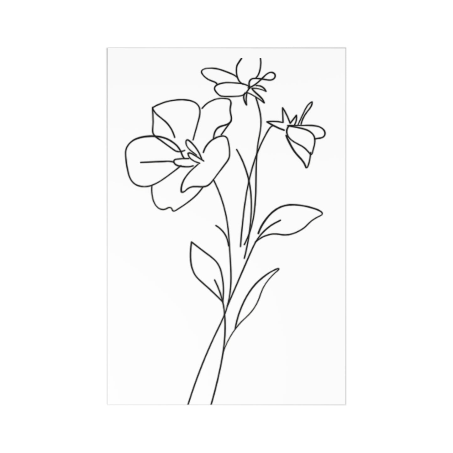 White Floral Postcards Set of 7